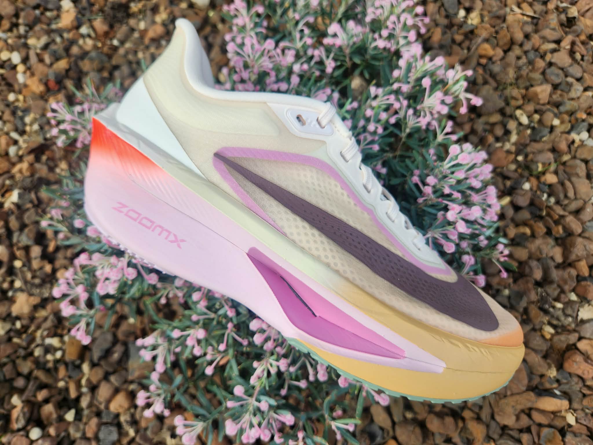 Nike W Zoom Fly 6 – Dnaplainfield