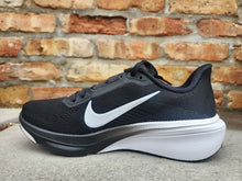 Load image into Gallery viewer, Nike L Pegasus 42
