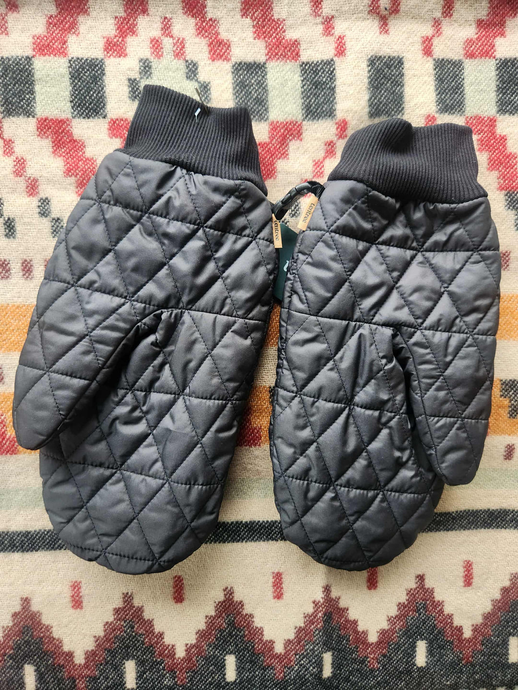 Tentree Cloudburst Mittens
