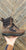 Lem's Breck Boot Insulated