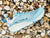 Altra W Experience Wild 3
