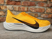 Load image into Gallery viewer, Nike M Pegasus Plus