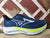 Mizuno M Wave Rider 29