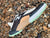 New Balance M Minimus Trail